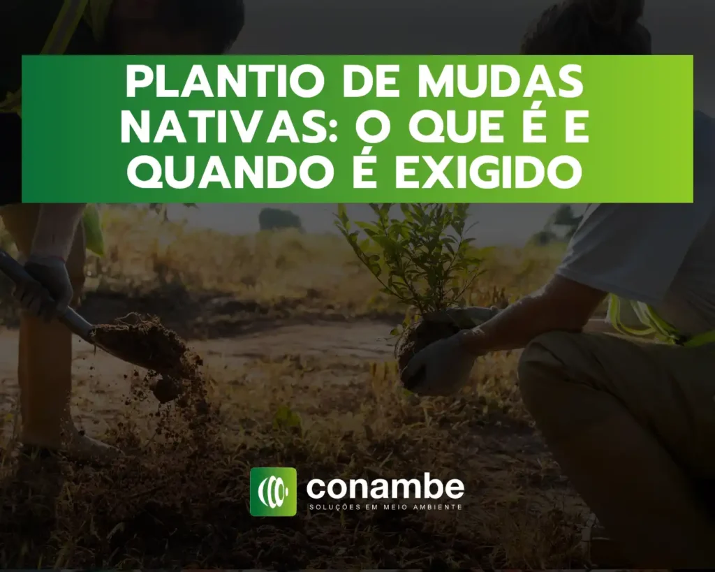 Arte com fundo verde e texto em destaque “PLANTIO DE MUDAS NATIVAS: O QUE É E QUANDO É EXIGIDO”, com pessoas plantando uma muda no solo e logo “conambe”.