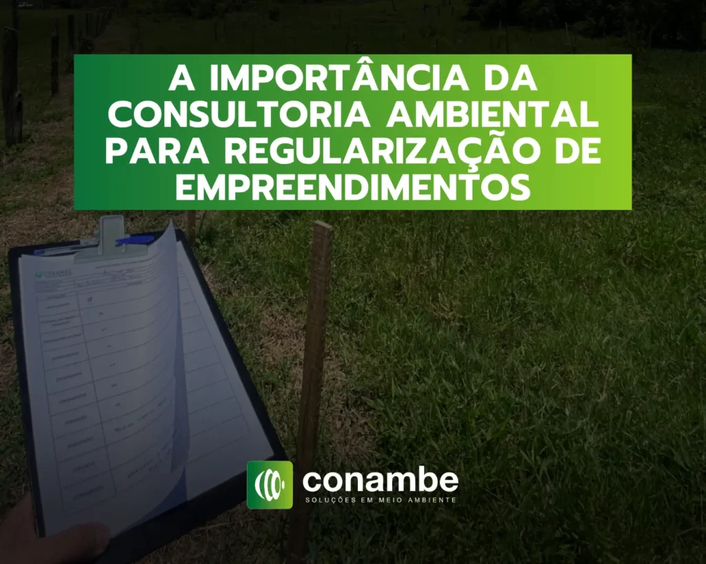 A Importância da Consultoria Ambiental para Regularização de Empreendimentos