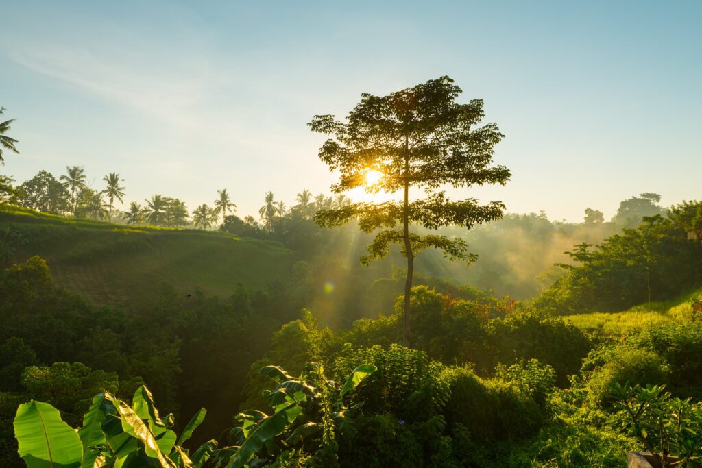 consultoria ambiental