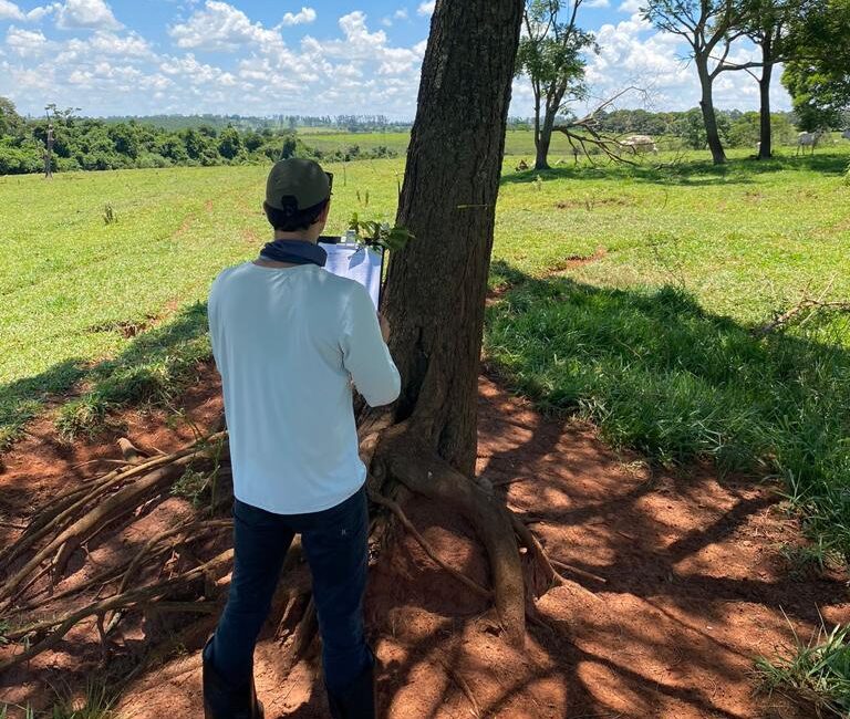 estudo ambiental para licenciamento ambiental em maringá