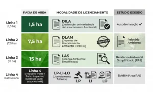 Infográfico em português com quadro comparativo de faixas de área e modalidades de licenciamento ambiental: Linha 1 (1,5 ha), Linha 2 (7,5 ha), Linha 3 (15 ha) e Linha 4 (pequeno porte e potencial poluidor), além de estudo exigido e tipos como DILA, DLAM, LAS, LP, LI, LO e EIA/RIMA ou RAS.