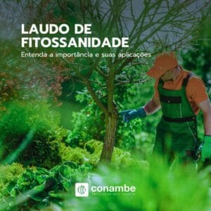 Laudo de Fitossanidade: Entenda a importância e suas aplicações