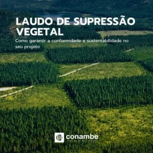 Laudo de Supressão Vegetal: Tudo o que Você Precisa Saber