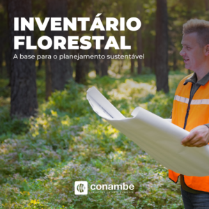 Inventário Florestal: A base para o planejamento sustentável