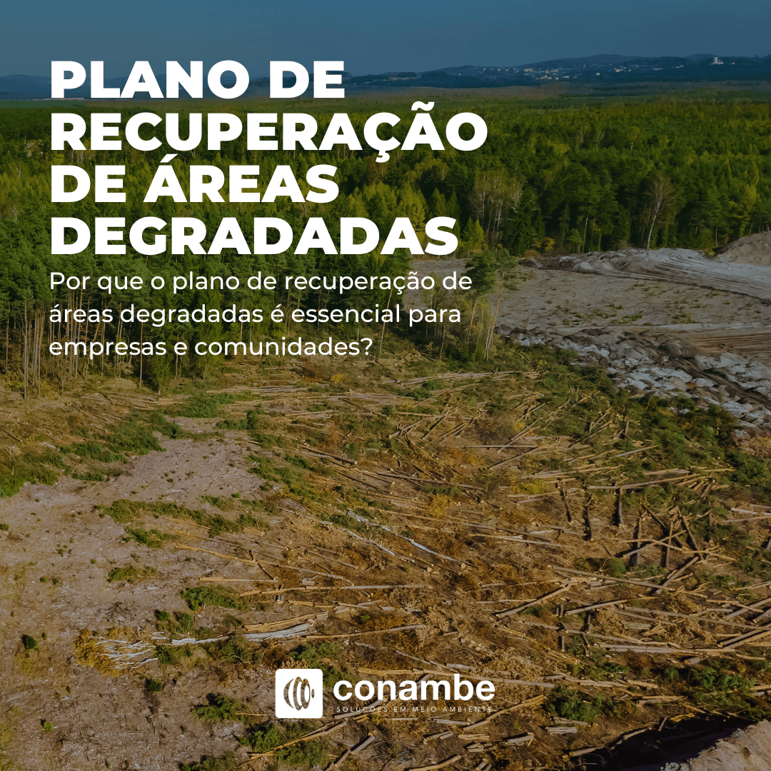 Por Que o Plano de Recuperação de Áreas Degradadas (PRAD) é Essencial para Empresas e Comunidades?