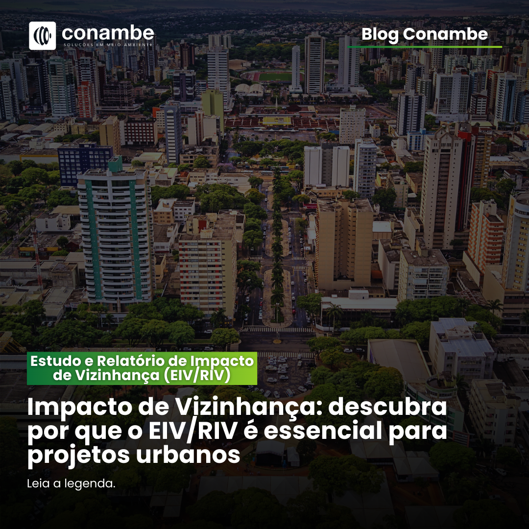 Impacto de Vizinhança: Por Que o EIV/RIV é Essencial para Projetos Urbanos