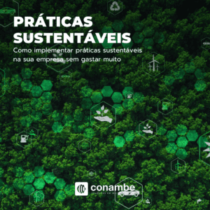 Como implementar práticas sustentáveis na sua empresa sem gastar muito