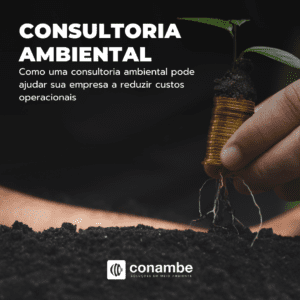 Como uma consultoria ambiental pode ajudar sua empresa a reduzir custos operacionais