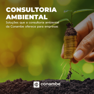 Soluções que a Consultoria Ambiental da Conambe oferece para Empresas