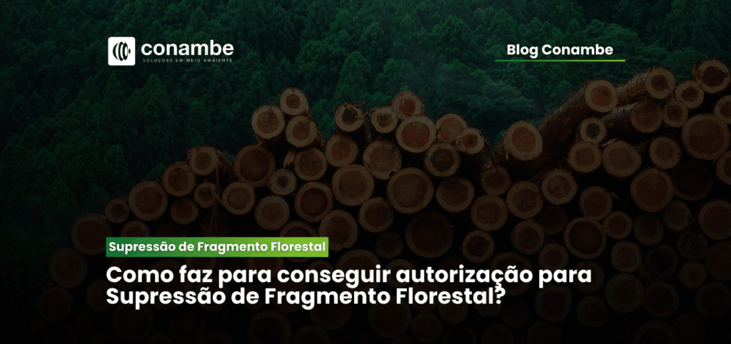 Supressão de Fragmento Florestal