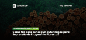 Como Conseguir Autorização para Supressão de Fragmento Florestal