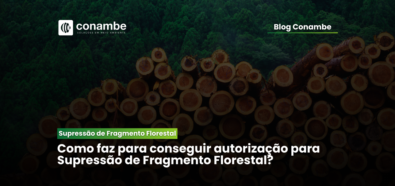 Como Conseguir Autorização para Supressão de Fragmento Florestal