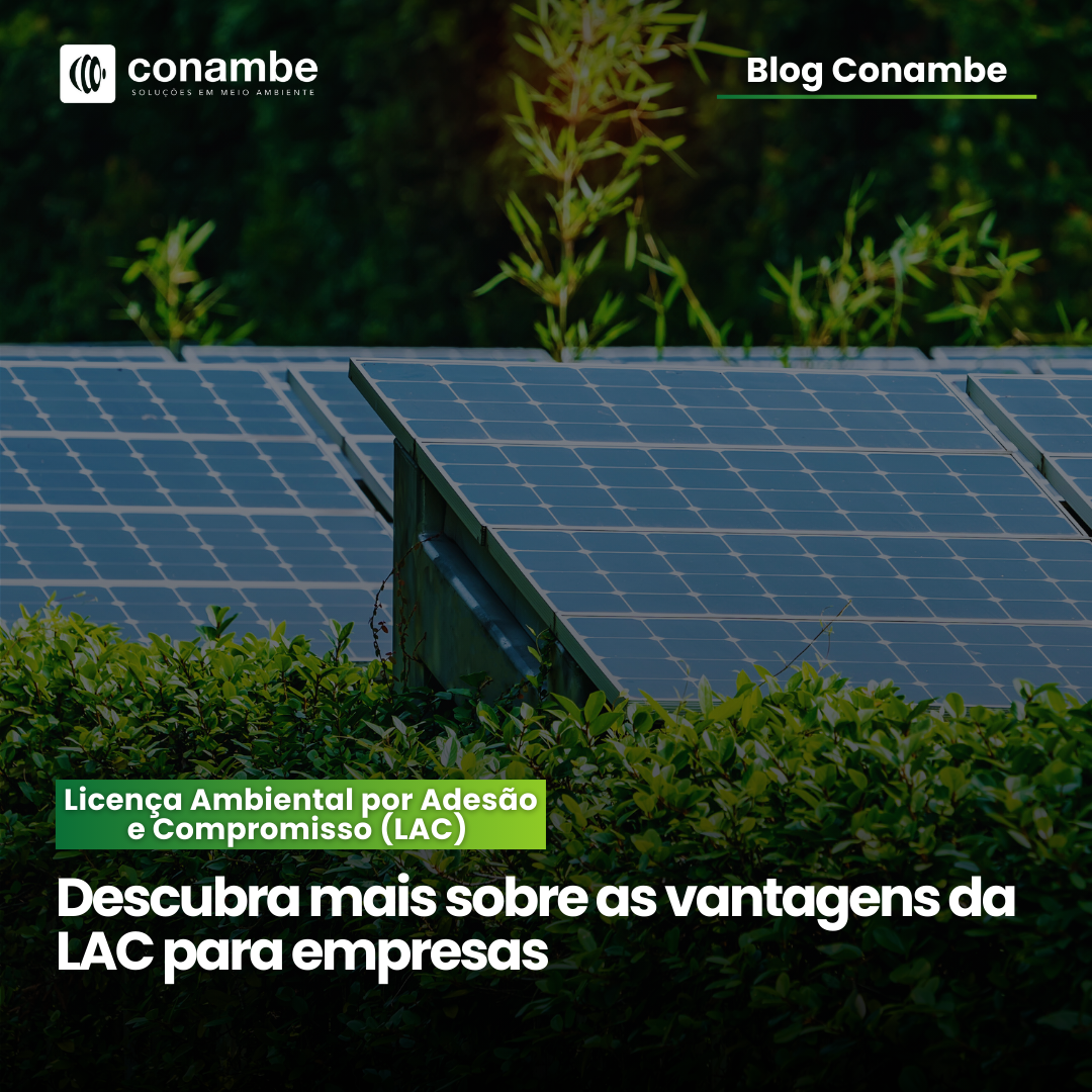 Licença Ambiental por Adesão e Compromisso: Entenda mais sobre as vantagens do LAC para empresas