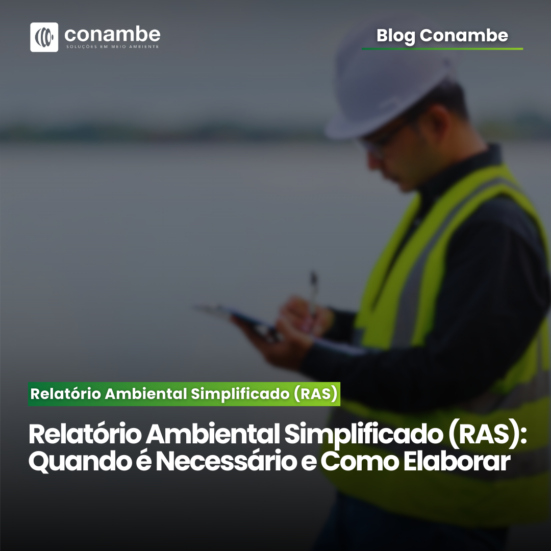 Relatório Ambiental Simplificado (RAS): Quando é Necessário e Como Elaborar