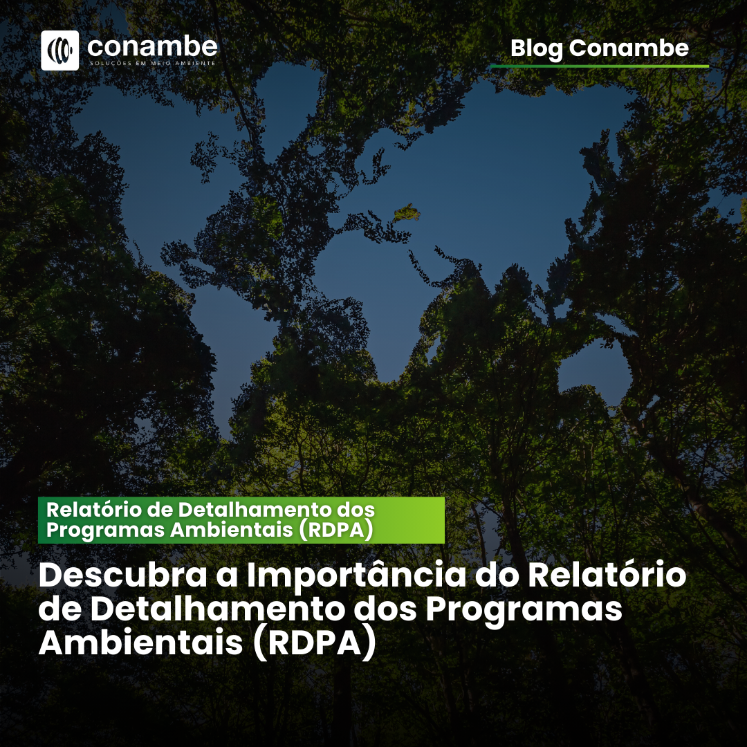 Relatório de Detalhamento dos Programas Ambientais (RDPA): Descubra a Importância