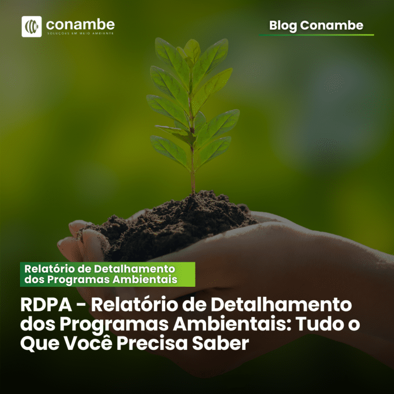 RDPA – Relatório de Detalhamento dos Programas Ambientais: Tudo o Que Você Precisa Saber