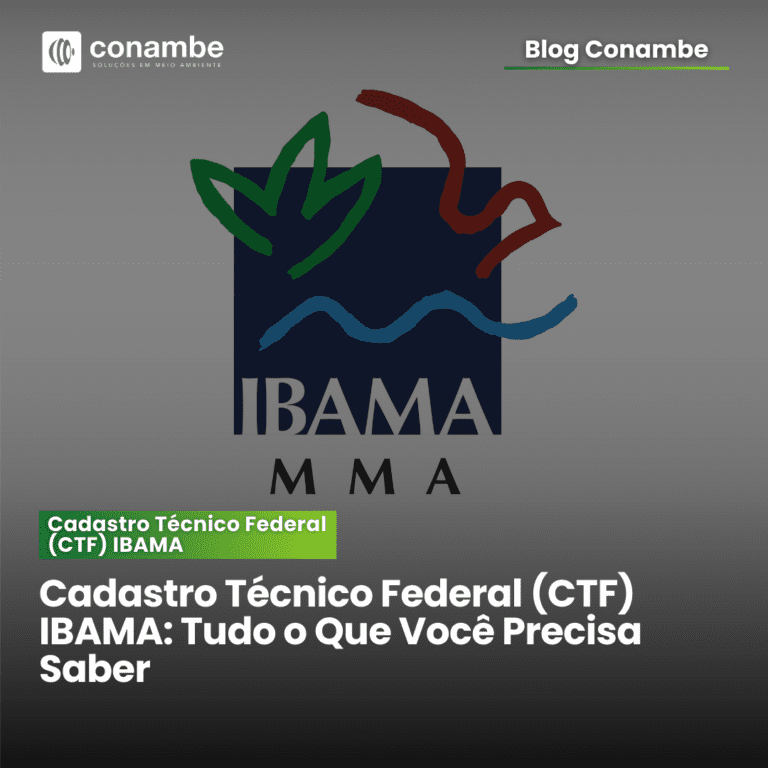 Cadastro Técnico Federal (CTF) IBAMA: Tudo o Que Você Precisa Saber