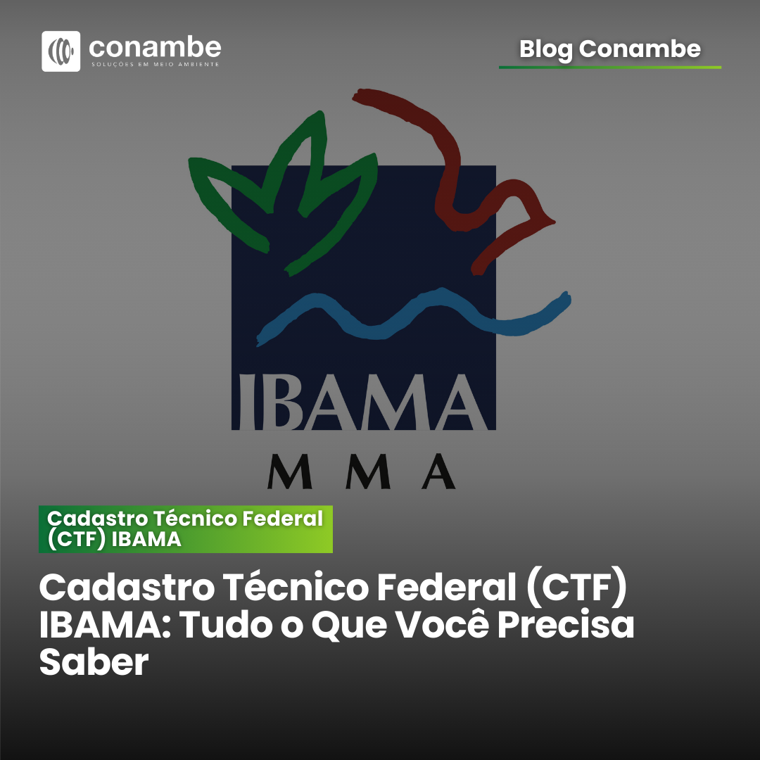 CTF Ibama – Cadastro Técnico Federal: Saiba o que é