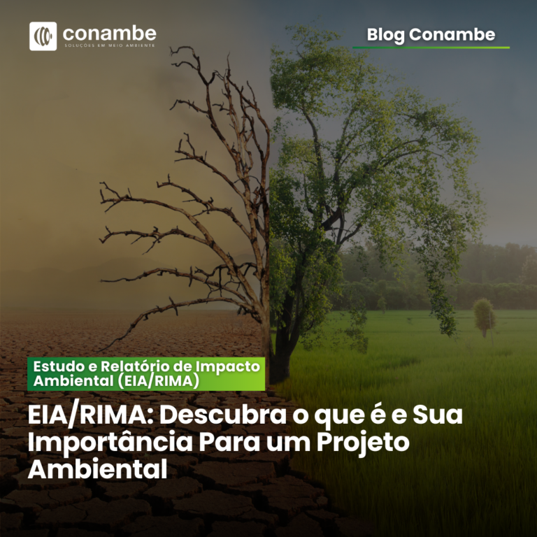 EIA/RIMA: Descubra o que é e Sua Importância Para um Projeto Ambiental
