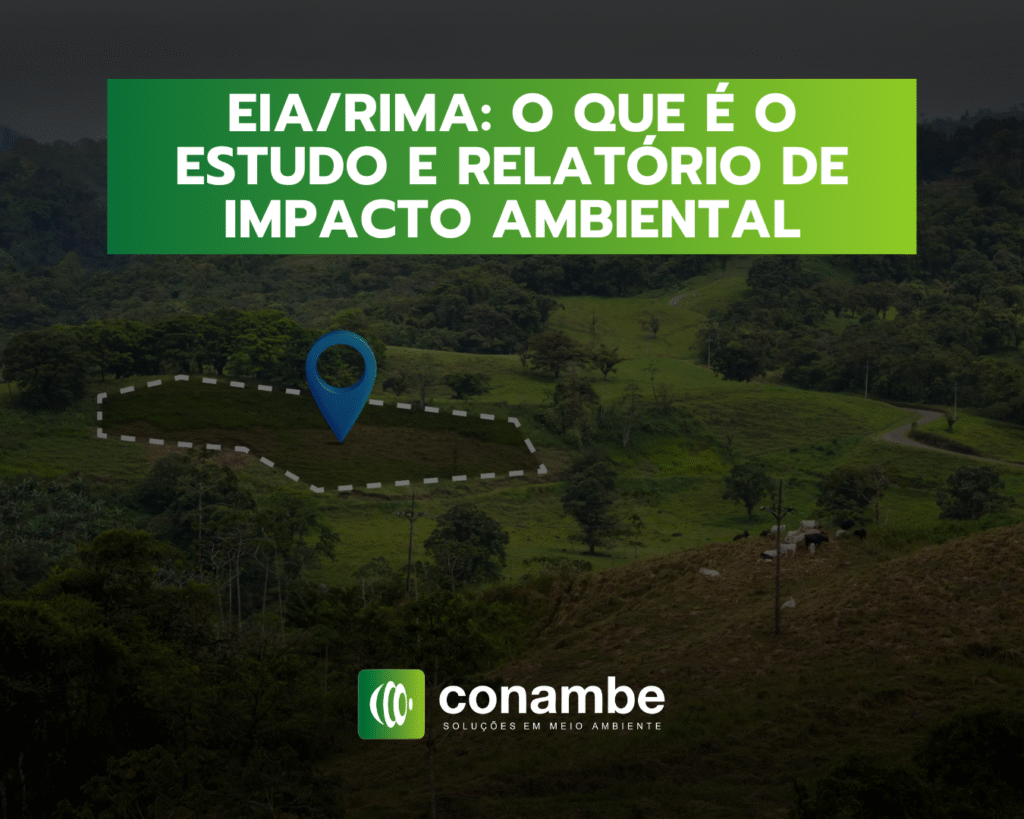EIA RIMA O que é o Estudo e Relatório de Impacto Ambiental