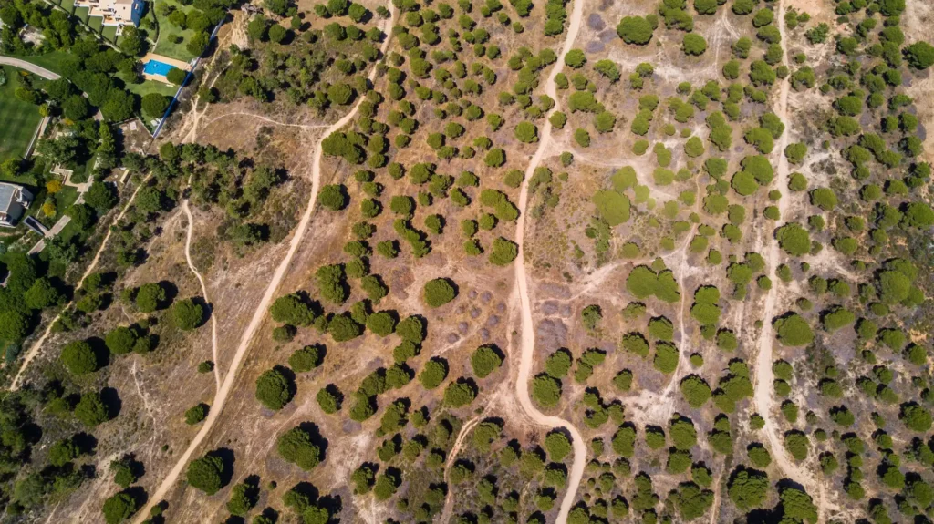 local onde sera feito o estudo de impacto ambiental eia rima