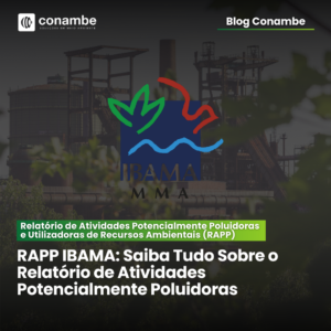 Relatório de Atividades Potencialmente Poluidoras e Utilizadoras de Recursos Ambientais (RAPP)