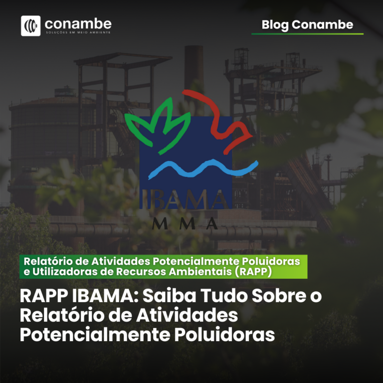 RAPP IBAMA: Saiba Tudo Sobre o Relatório de Atividades Potencialmente Poluidoras