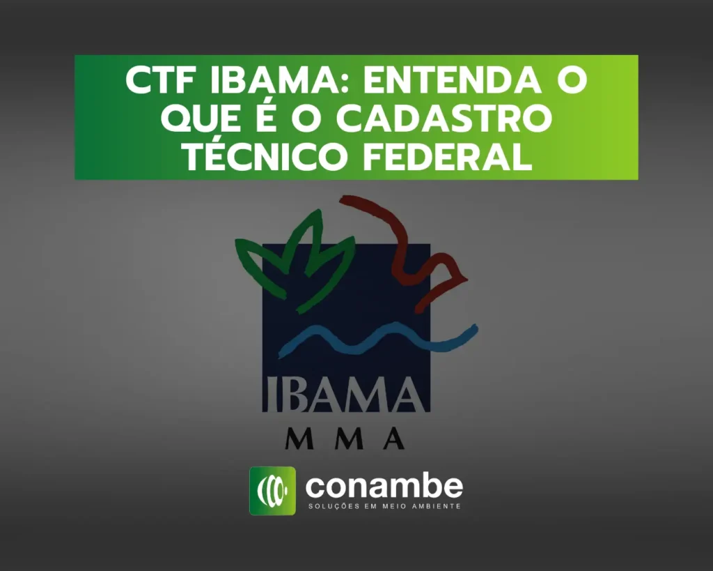 CTF Ibama: Entenda o que é o Cadastro Técnico Federal