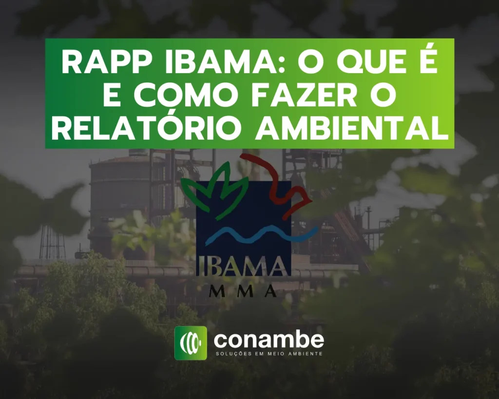 RAPP IBAMA - O Que é e Como Fazer o Relatório Ambiental