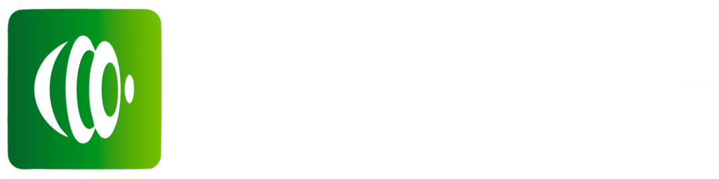 logo CONAMBE - CONSULTORIA AMBIENTAL