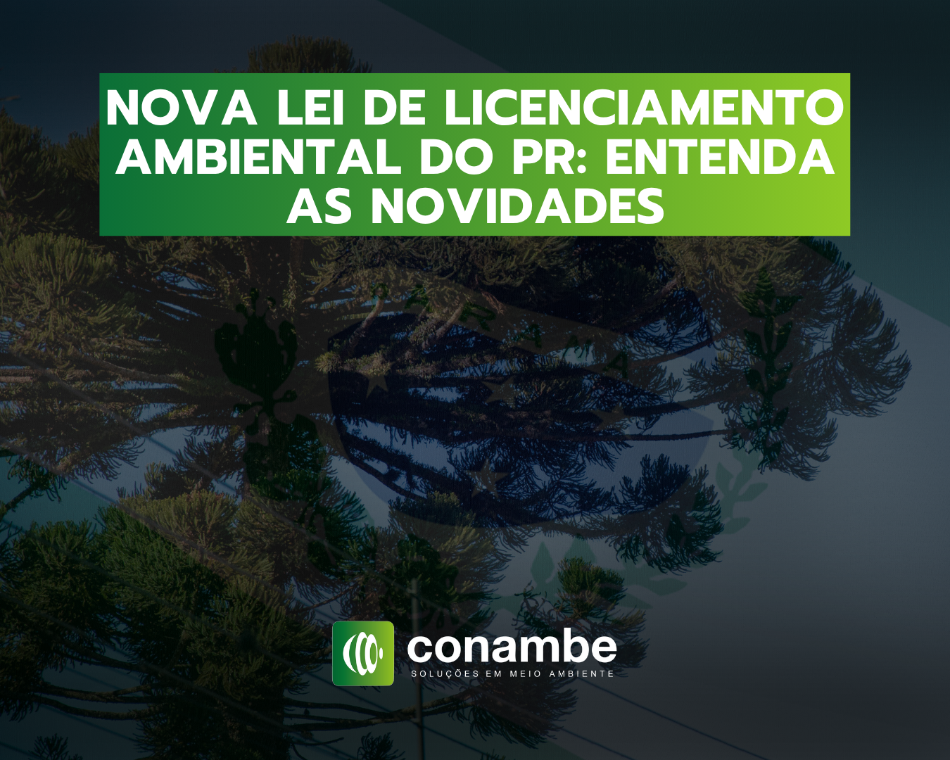 Nova Lei de Licenciamento Ambiental do PR Entenda as novidades