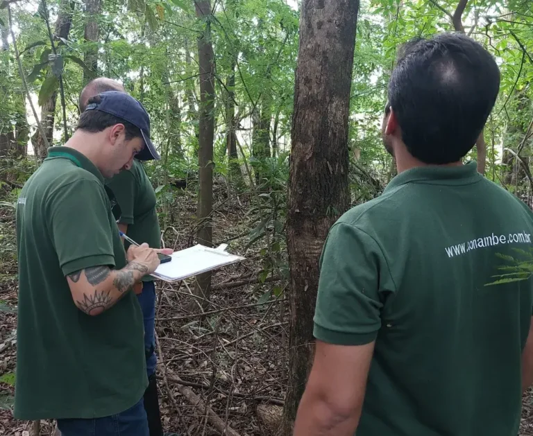estudo florestal e inventário florestal