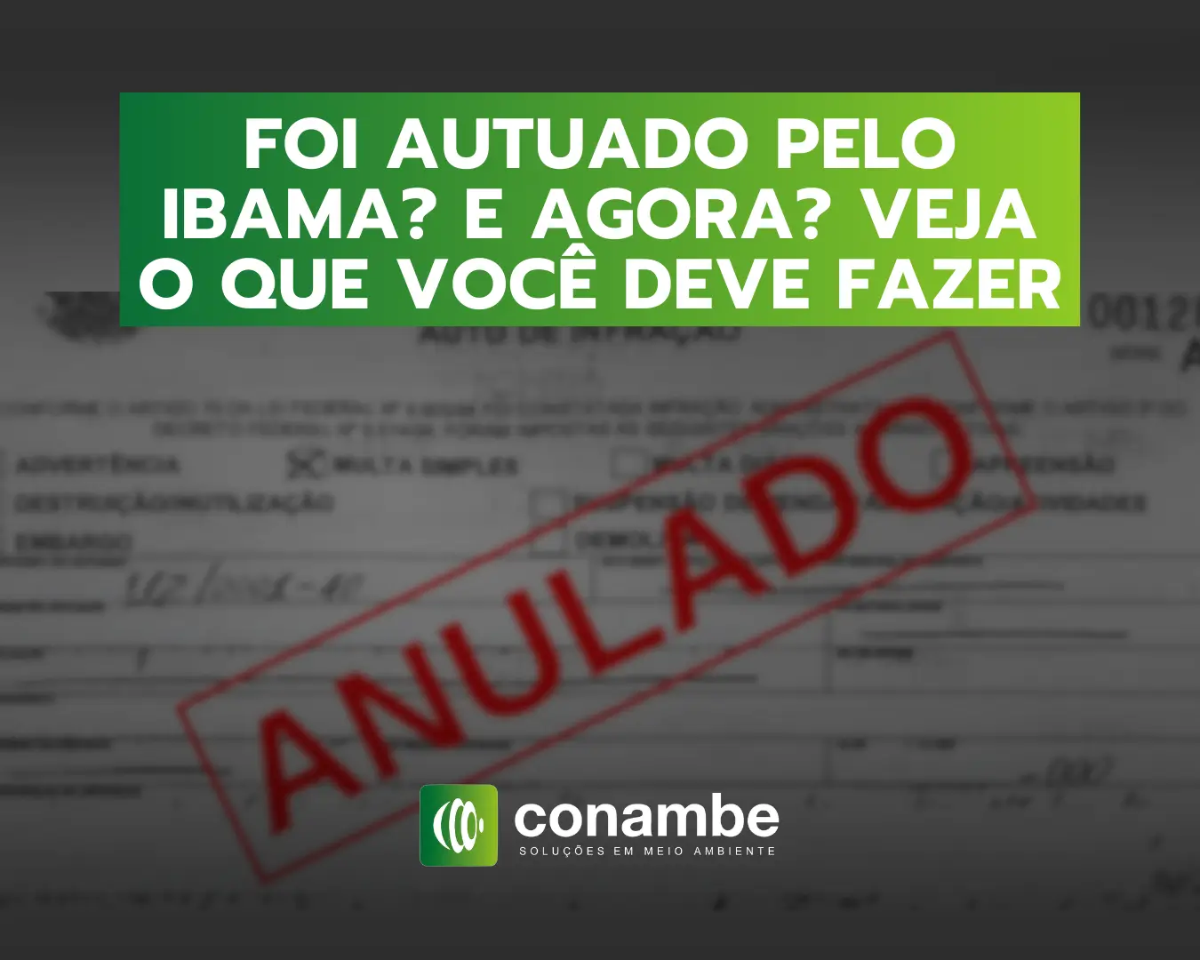 Foi autuado pelo IBAMA E agora Veja o que você deve fazer