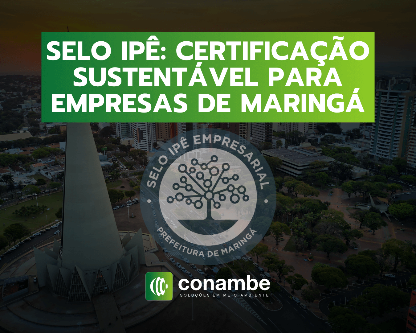 Selo Ipê - Certificação Sustentável para Empresas de Maringá