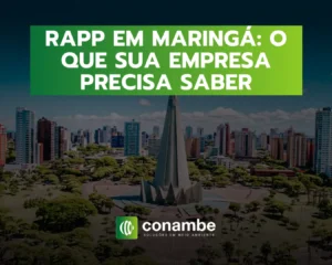 RAPP em Maringá - o que sua empresa precisa saber