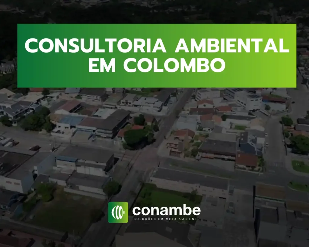 Consultoria ambiental em Colombo oferecendo soluções ambientais para melhorias sustentáveis na cidade.